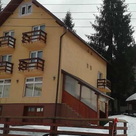 Hotel Casa Andreea-Maria Vârtop Esterno foto
