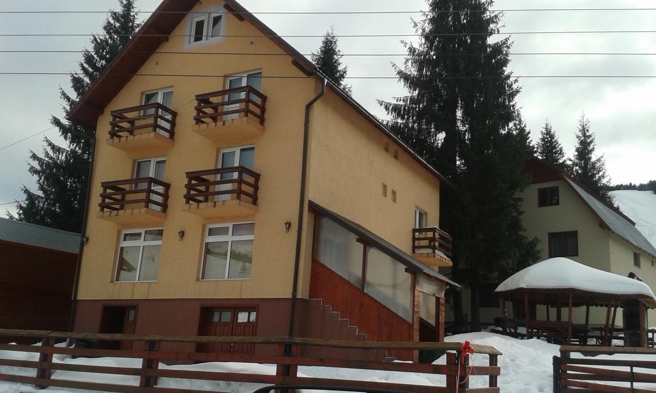 Hotel Casa Andreea-Maria Vârtop Esterno foto