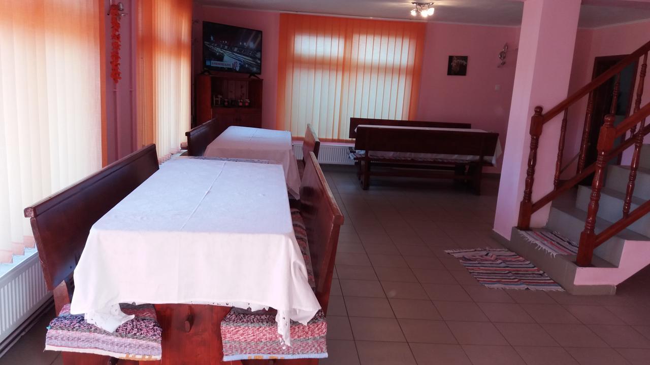 Hotel Casa Andreea-Maria Vârtop Esterno foto