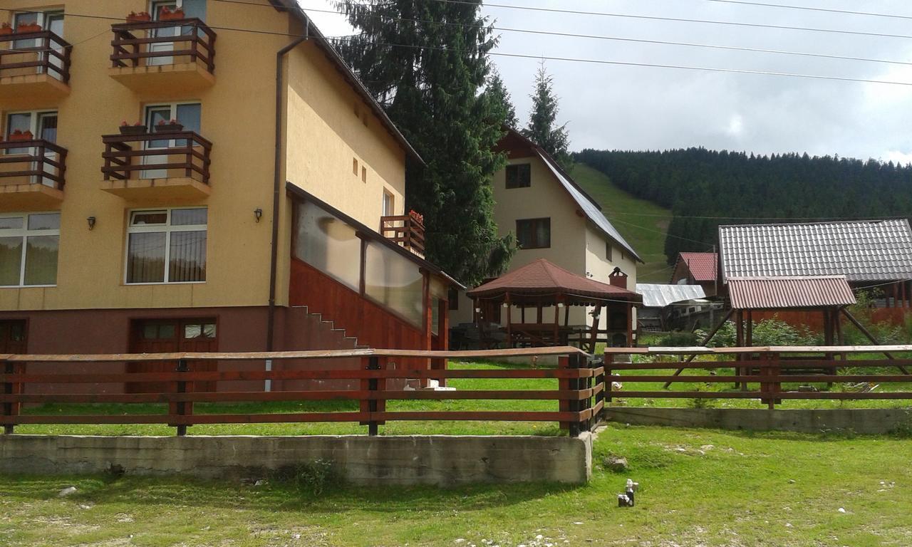 Hotel Casa Andreea-Maria Vârtop Esterno foto