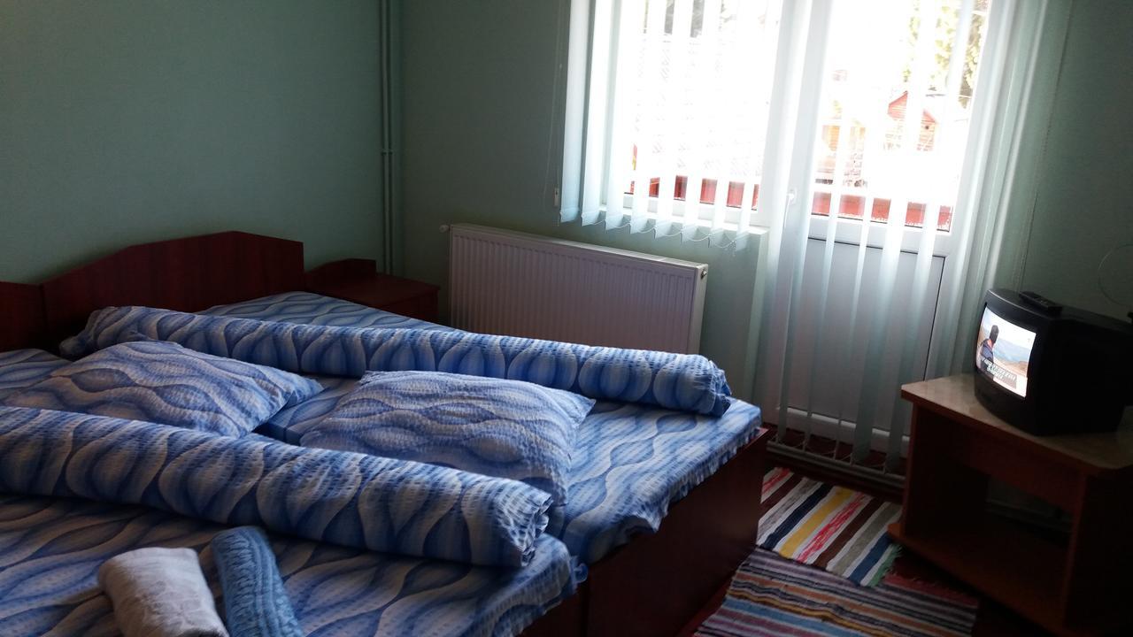 Hotel Casa Andreea-Maria Vârtop Esterno foto