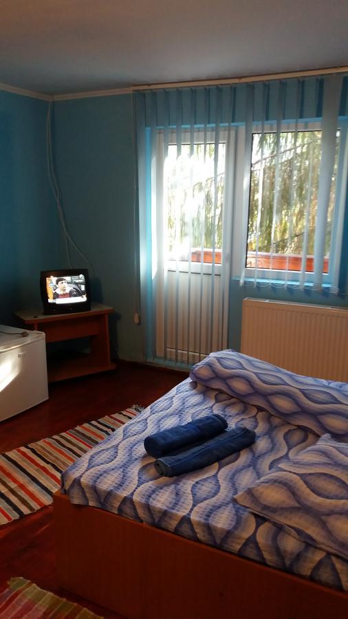 Hotel Casa Andreea-Maria Vârtop Esterno foto