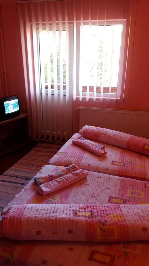 Hotel Casa Andreea-Maria Vârtop Esterno foto