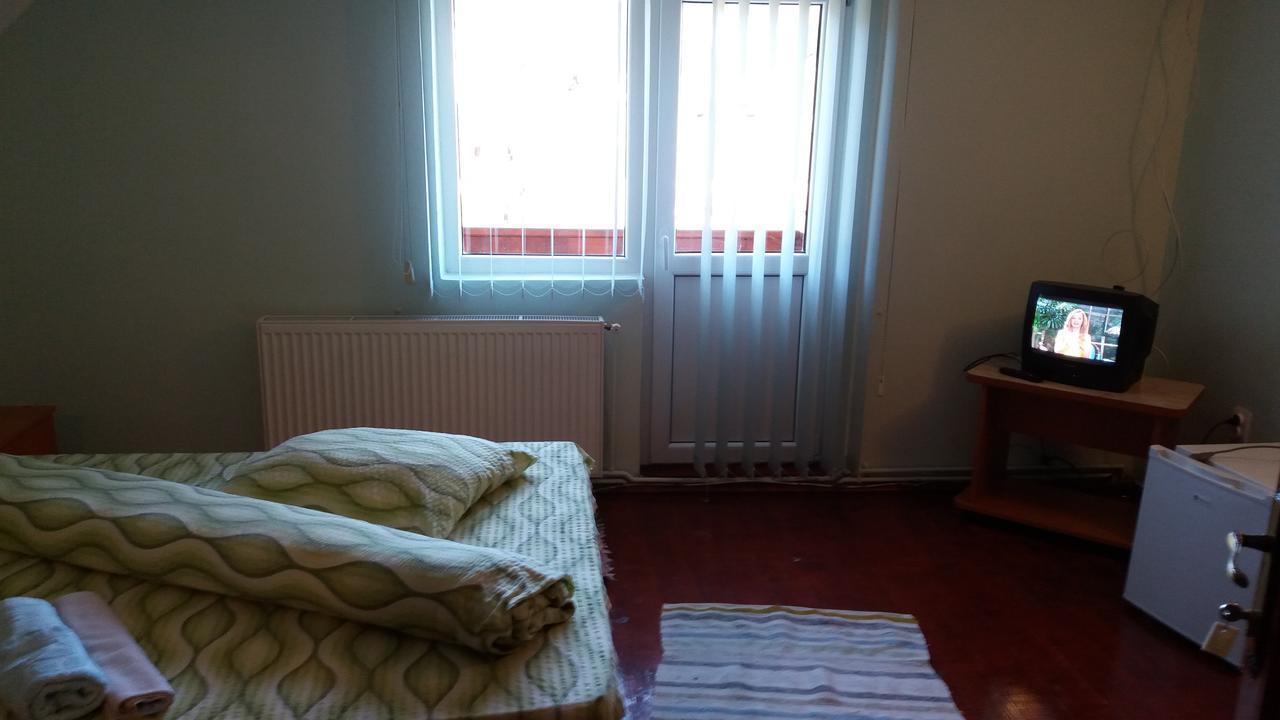 Hotel Casa Andreea-Maria Vârtop Esterno foto
