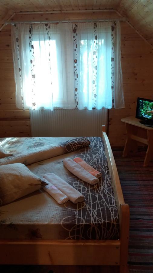 Hotel Casa Andreea-Maria Vârtop Esterno foto