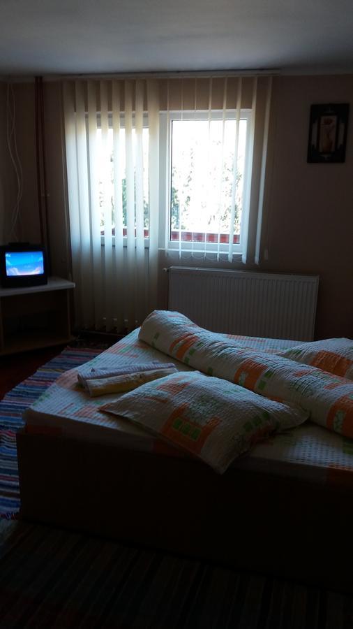 Hotel Casa Andreea-Maria Vârtop Esterno foto