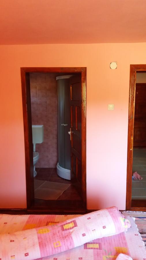 Hotel Casa Andreea-Maria Vârtop Esterno foto